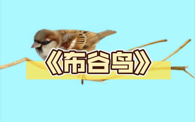 布谷鸟漫画去广告破解版升级图标