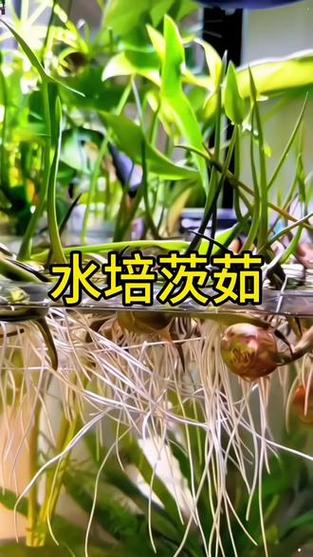 种养小管家app下载安装图标