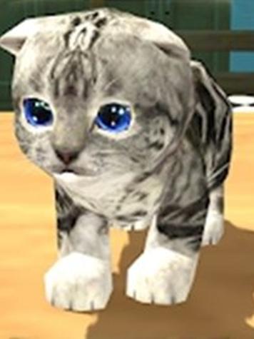 小猫模拟器免费下载游戏截图