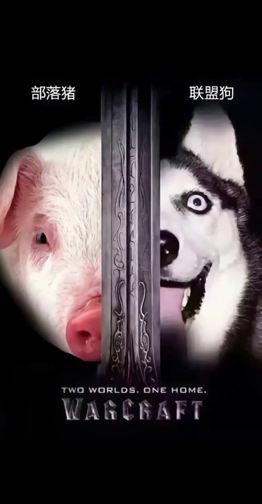 联盟狗部落猪什么意思