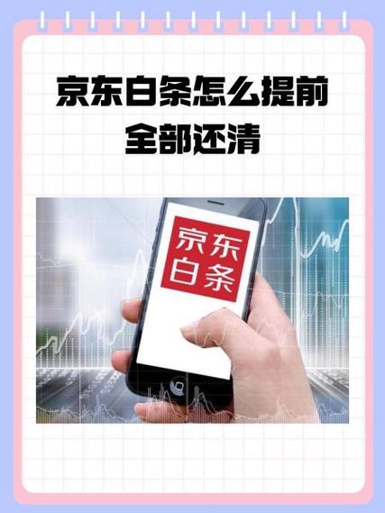白条12期能一次性还清吗图标