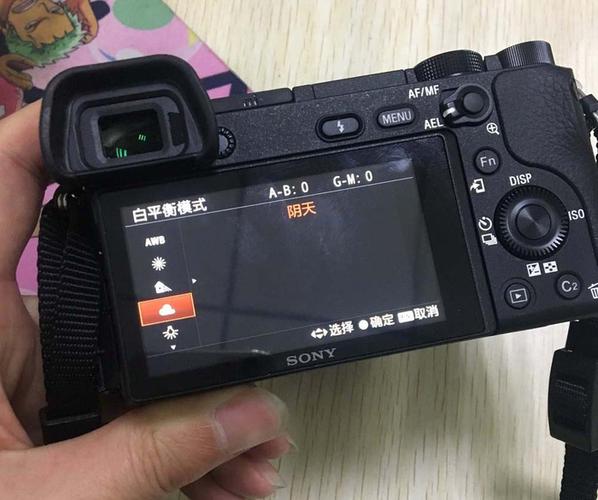 相机白平衡是什么意思游戏截图