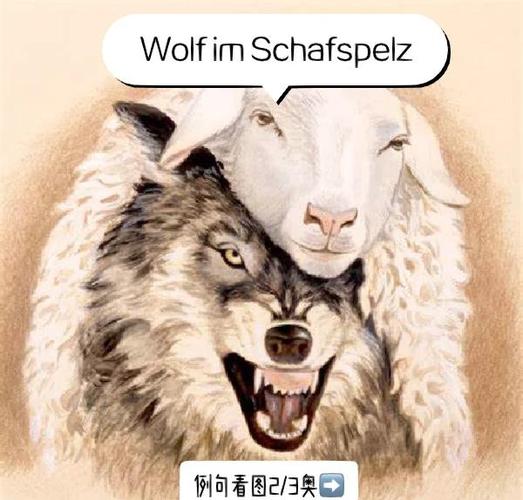 wolf中文版