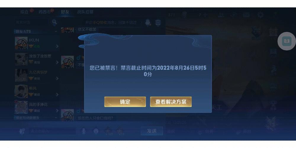 王者荣耀禁言减免工具游戏截图