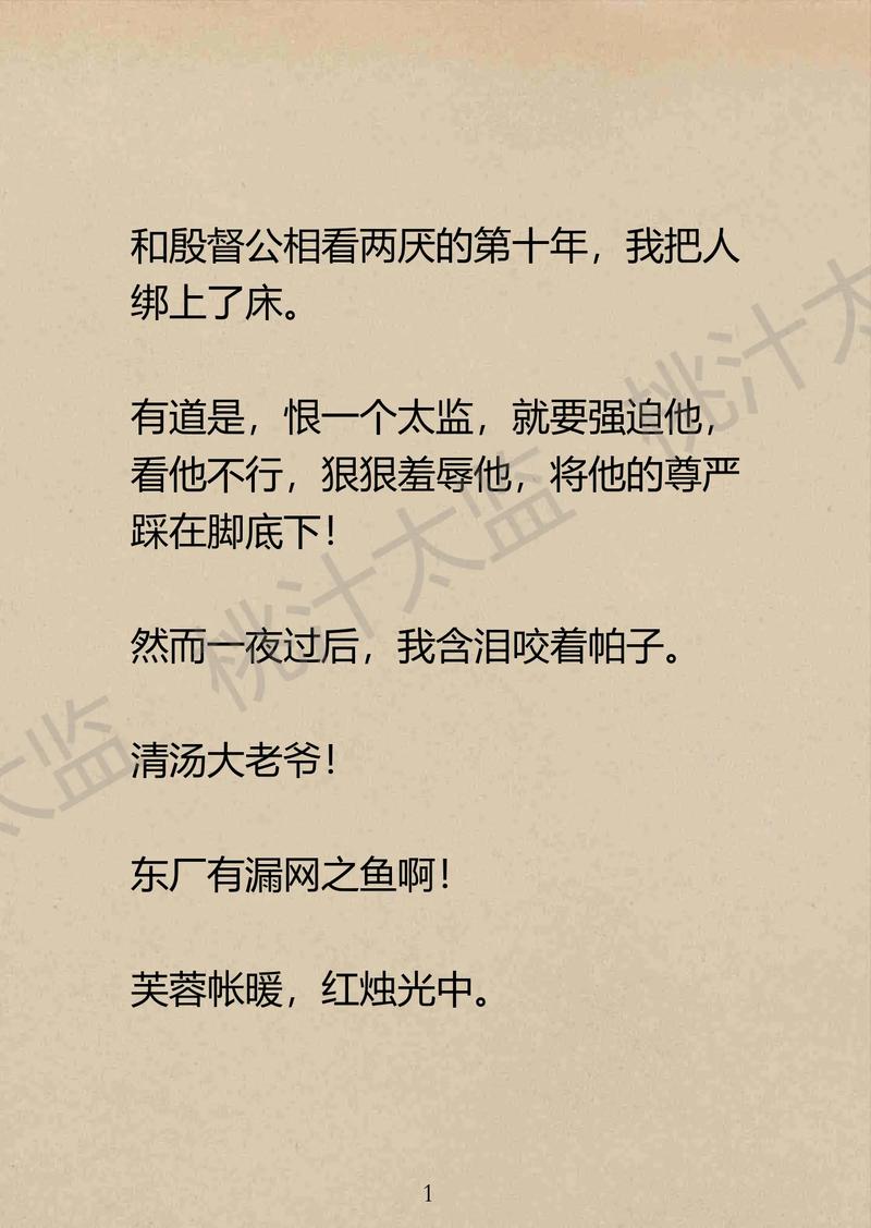 宦官之后番外txt百度云图标
