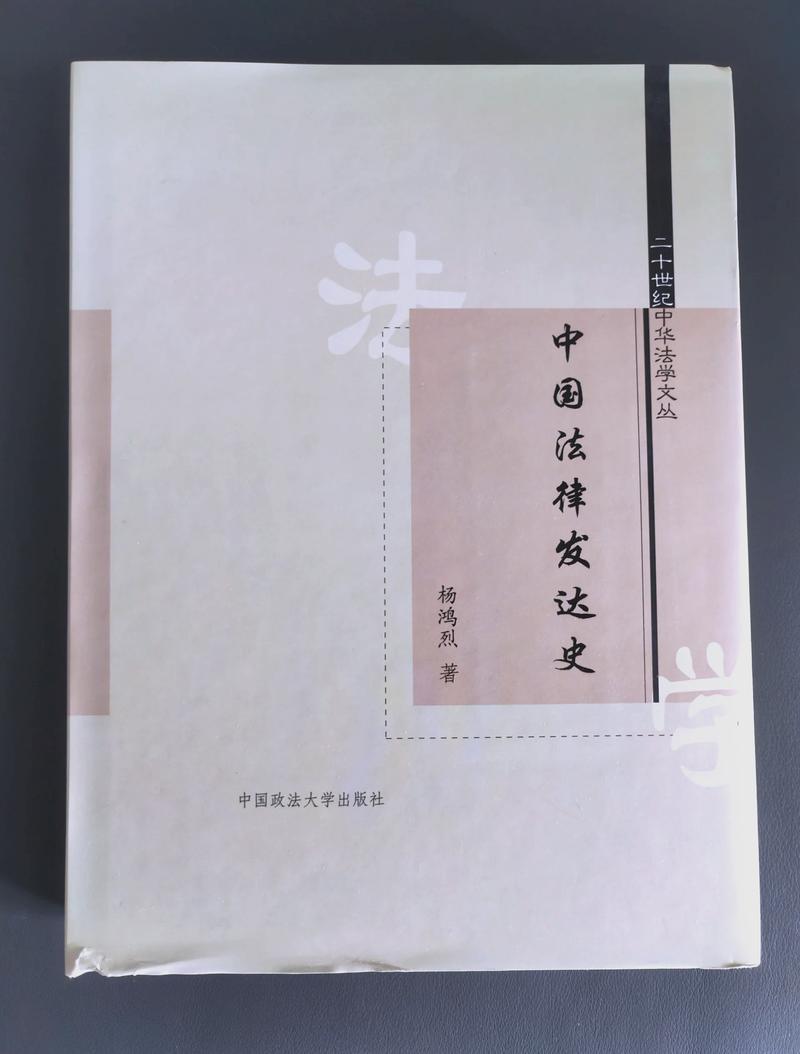 一个立法委员的一天小说