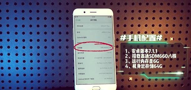 OPPO限制助手游戏截图