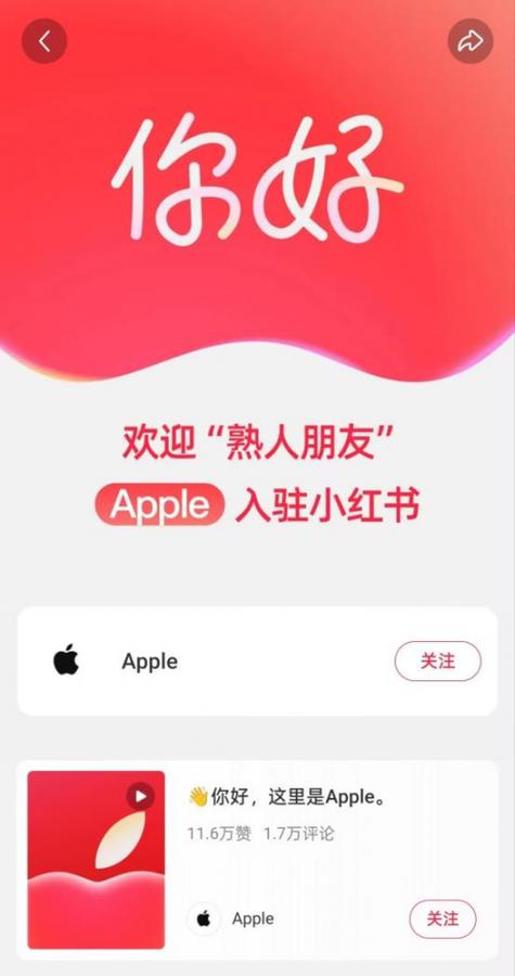 手机号可以搜到小红书账号吗图标