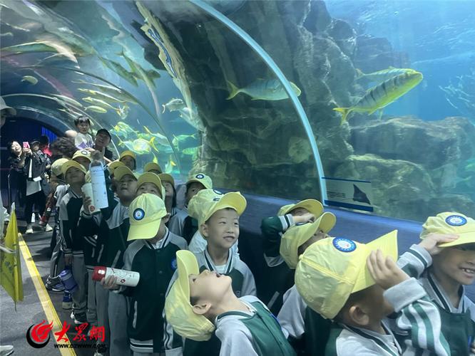 青岛水族馆探索游戏截图