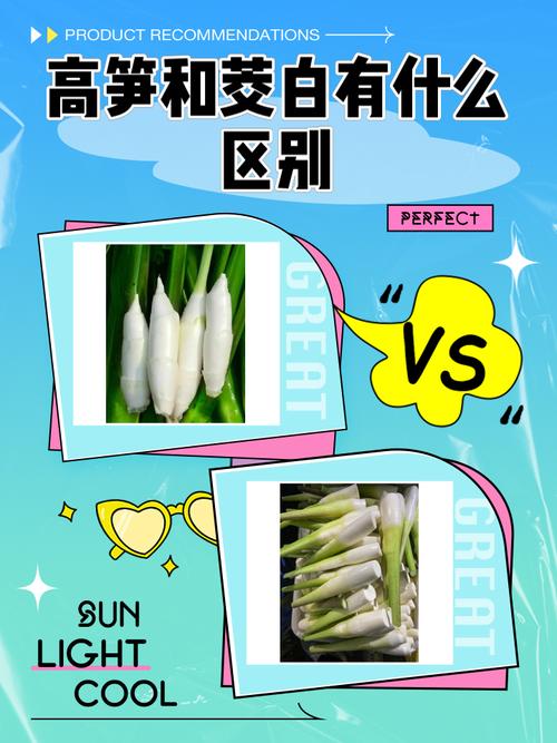 米菲solove和wellc区别图标