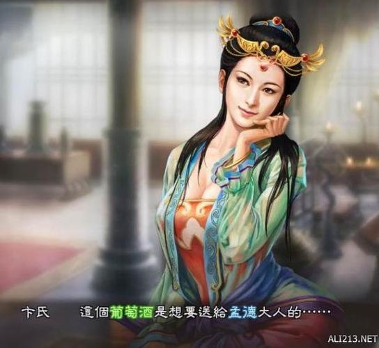 三国志13配偶之间能干什么图标