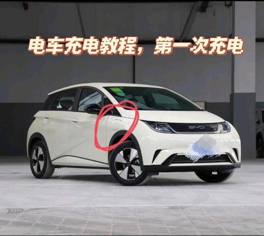 海豚充电充到100%还是充到80%好