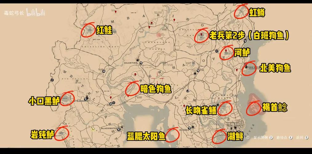 荒野传说鱼谱游戏截图