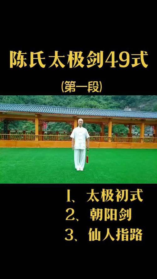 陈氏49式太极剑图标