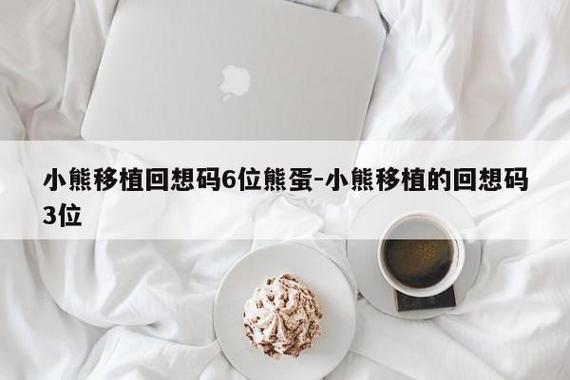 乡下生活20小熊移植的回想码