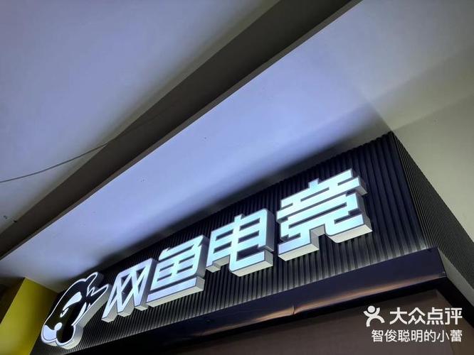 网鱼电竞全国分布图标