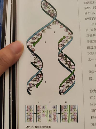 基因一级变异严重吗图标