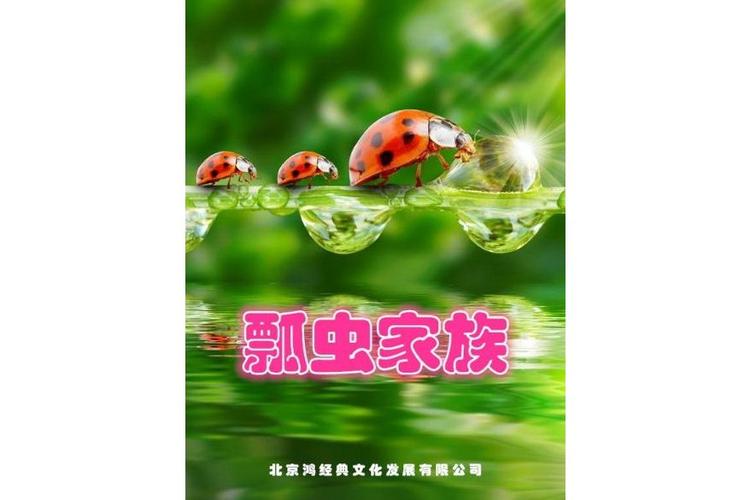 瓢虫家族图标
