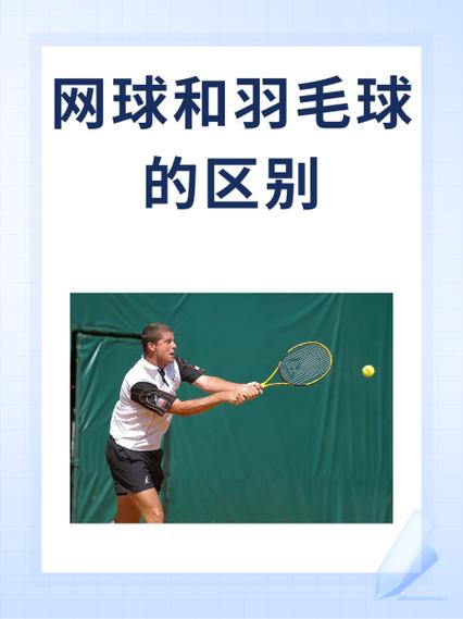 羽毛球跟网球哪个好学图标