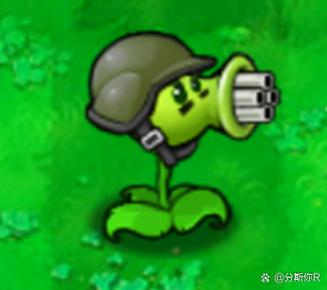 火箭机枪豌豆射手