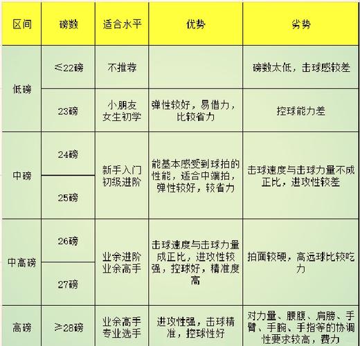 羽毛球拍25磅是什么意思