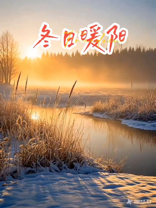 初冬暖阳最新版