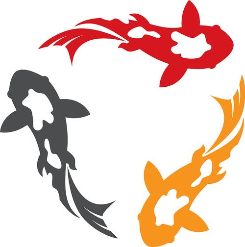锦鲤短视频官方版