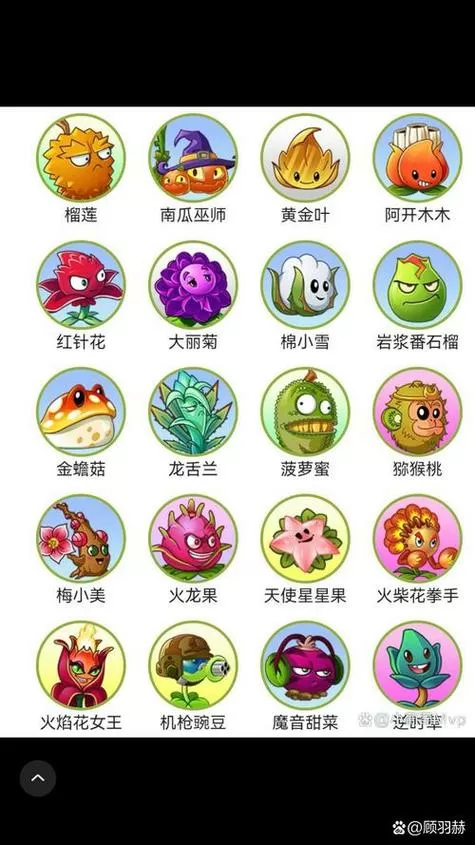 Pvz英雄下载安装图标
